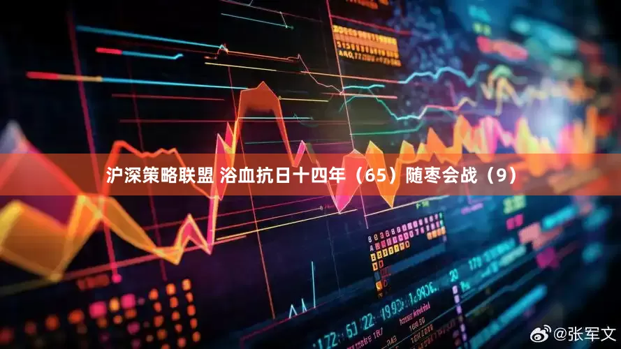 沪深策略联盟 浴血抗日十四年（65）随枣会战（9）