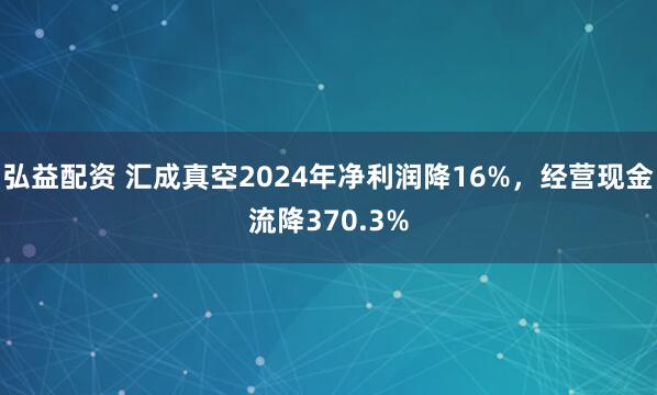 弘益配资 汇成真空2024年净利润降16%，经营现金流降370.3%